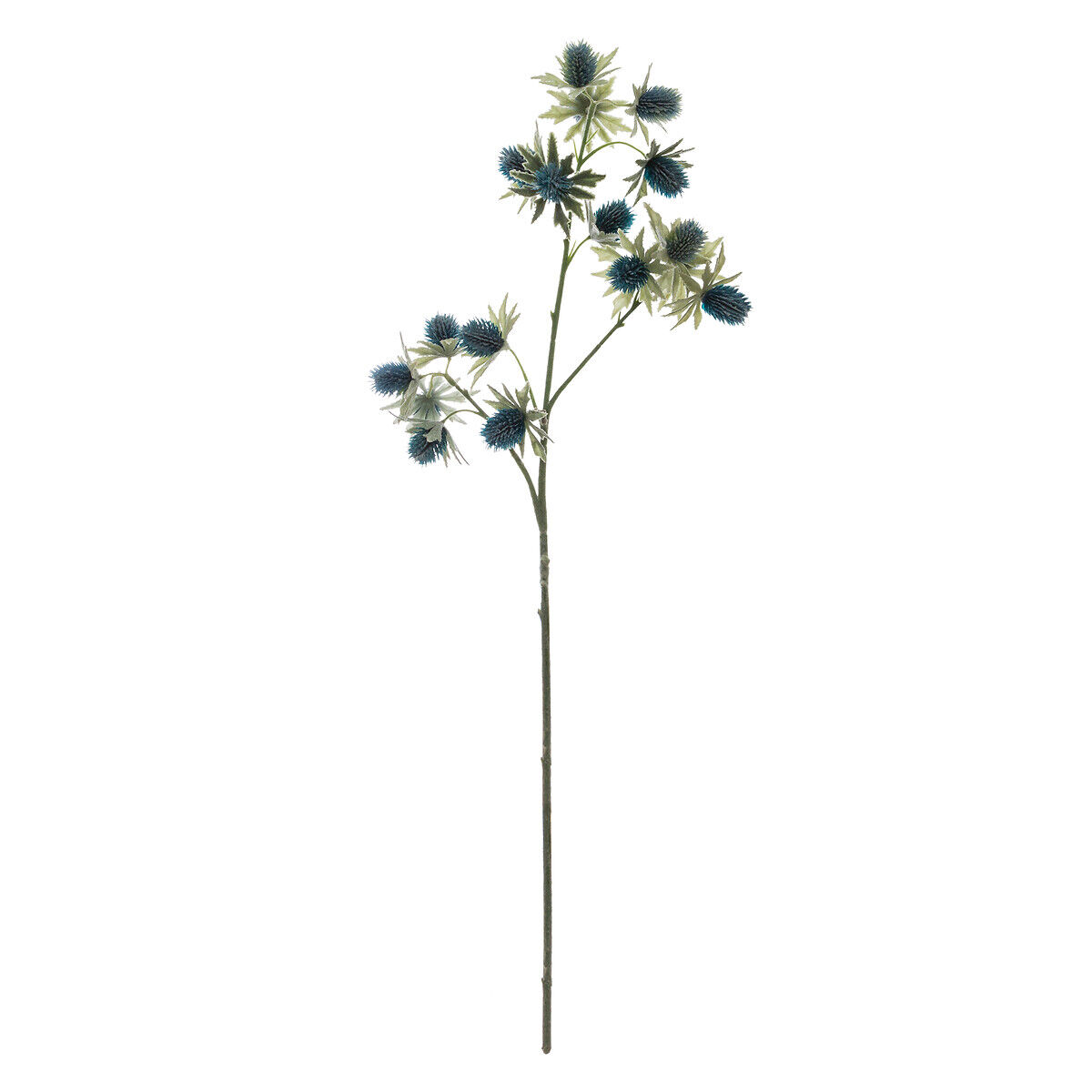 Haste eryngium inverno azul 70cm, , large