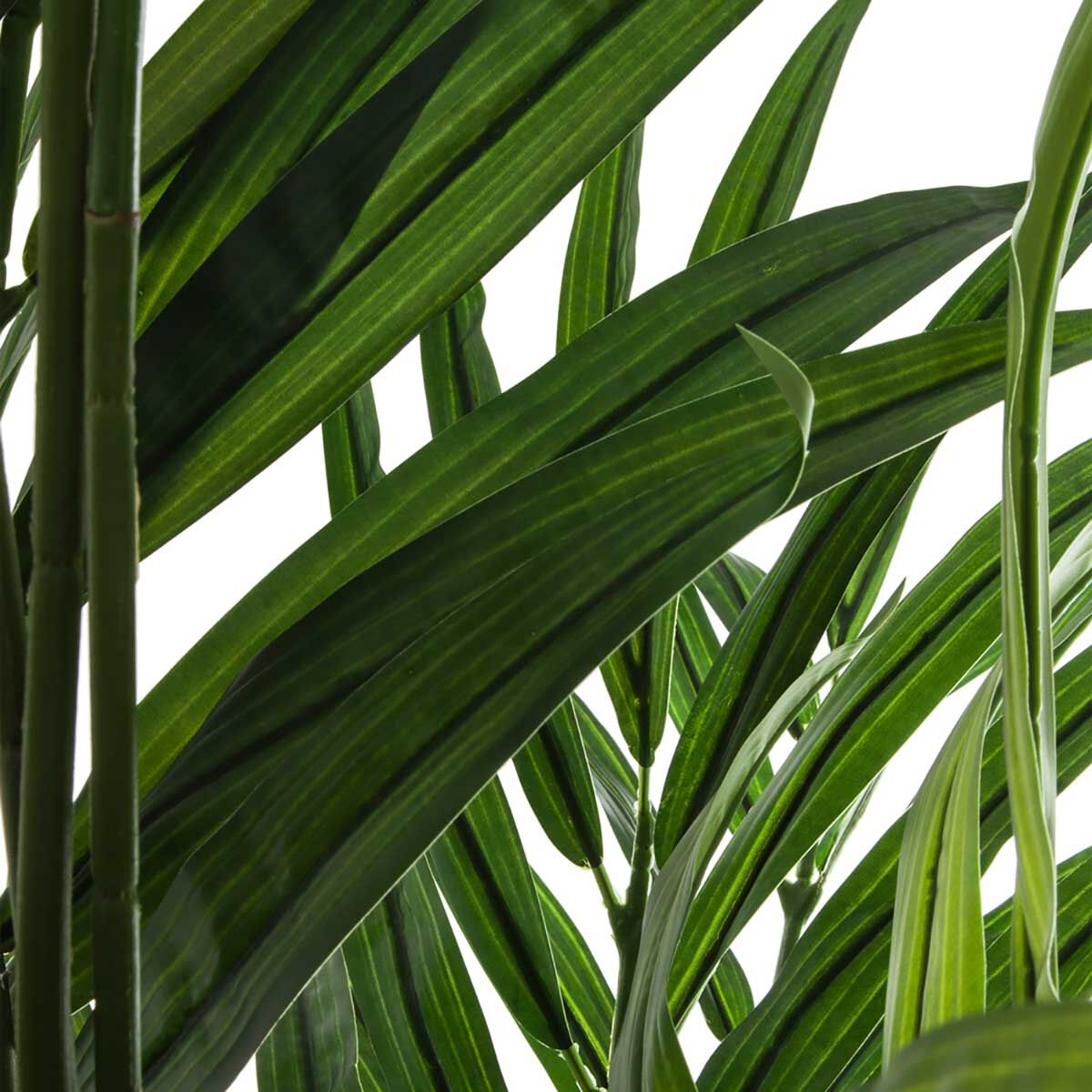 Planta palmeira areca com vaso 235cm, , large