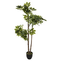 Planta Schefflera Con Maceta 130Cm