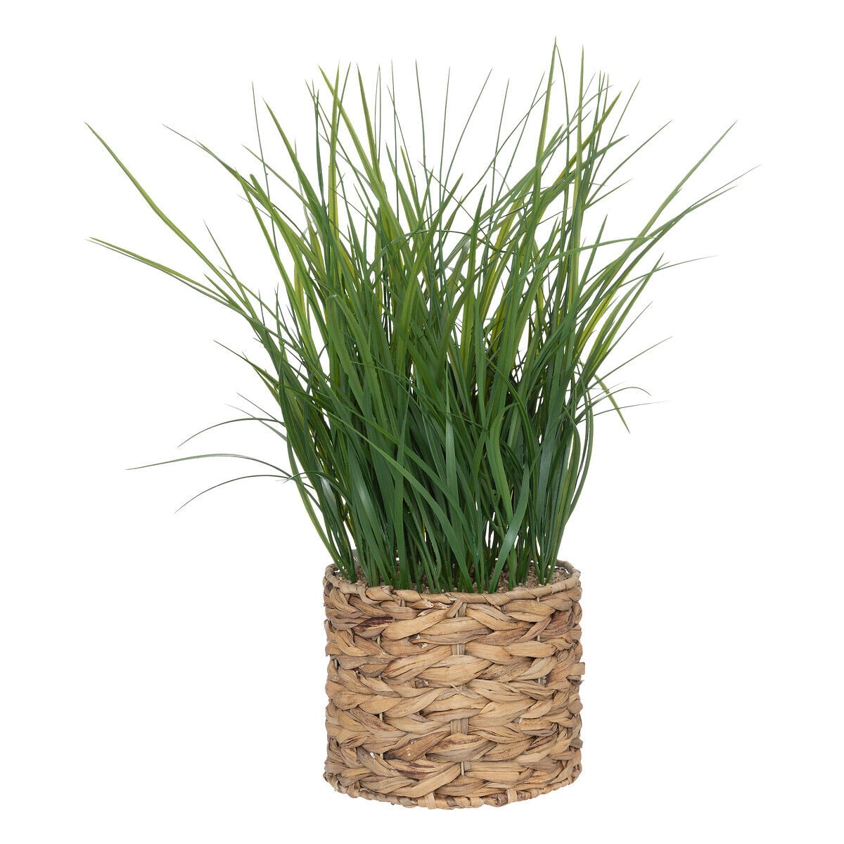 Vaso jacinto com ervas 70cm, , large