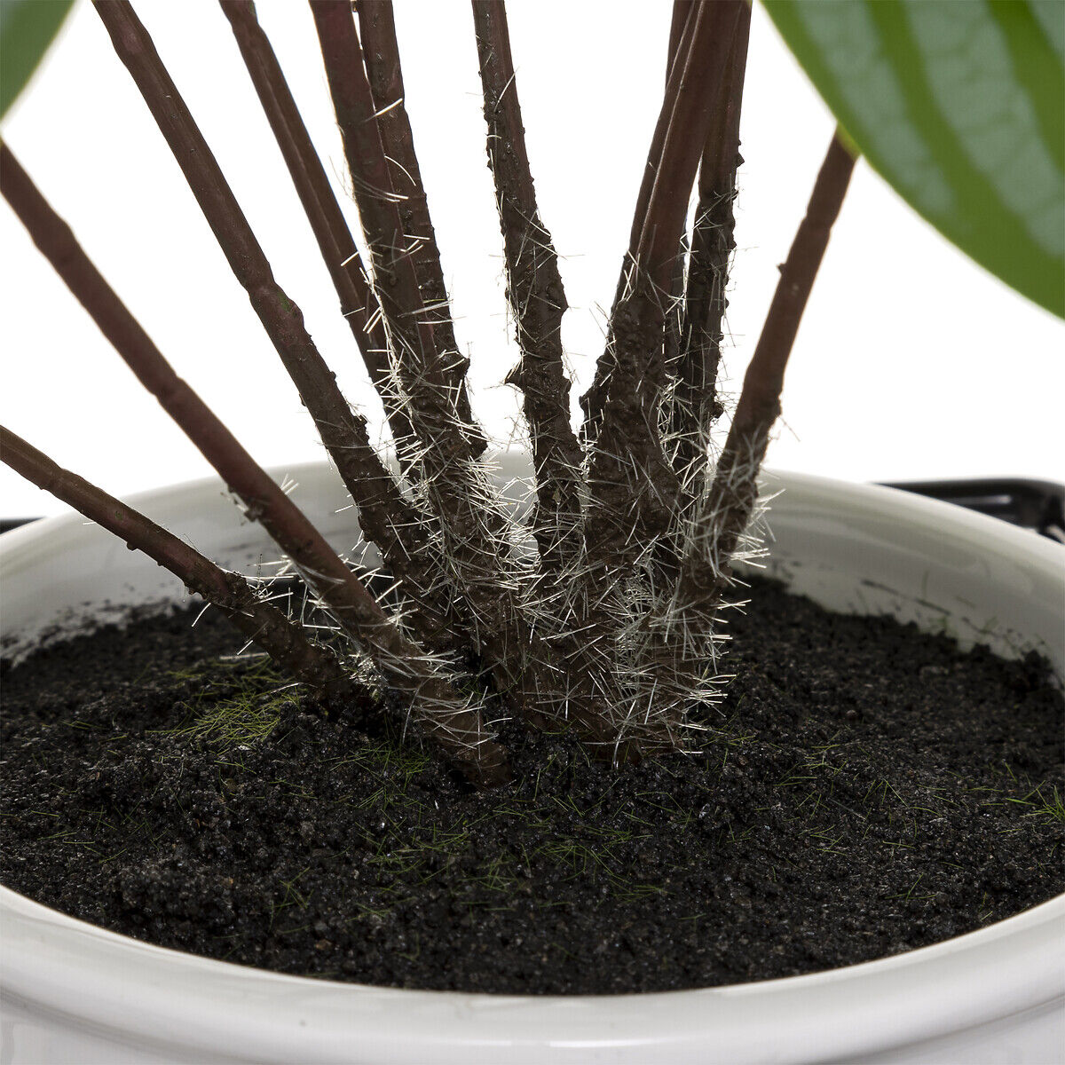 Planta maranta artifical com suporte 32cm, , large