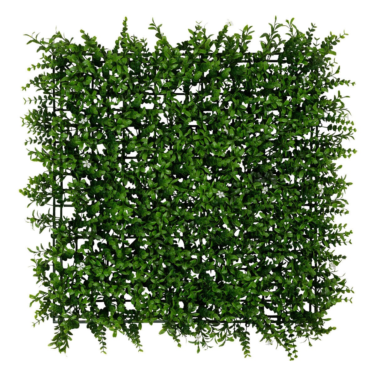 Jardim vertical CLASSIQUE IZY 50x50cm, , large