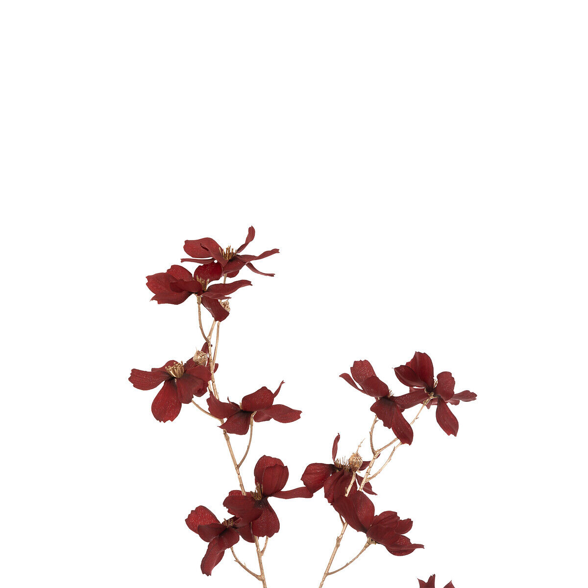 Flower stem, , large