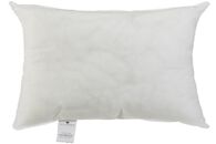 Relleno De Coj&iacute;n Blanco 30x50Cm