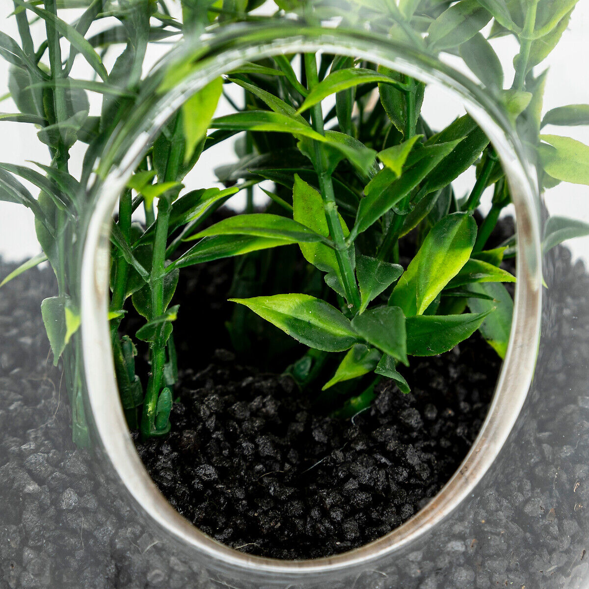Terrário em vidro com plantas artificiais NALY, , large