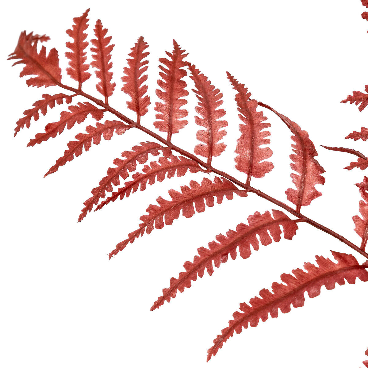 Haste de feto artificial vermelho james 90cm, , large