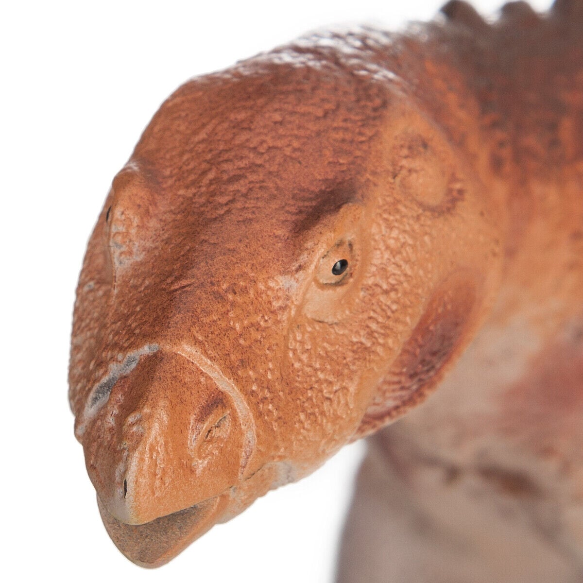 Dinossauro scelodosaurus, , large