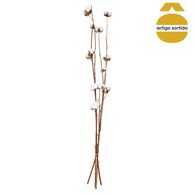 Ramo Seco Natural 100cm