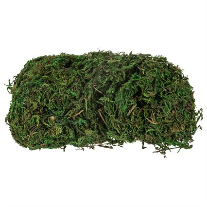 Musgo decorativo, , large
