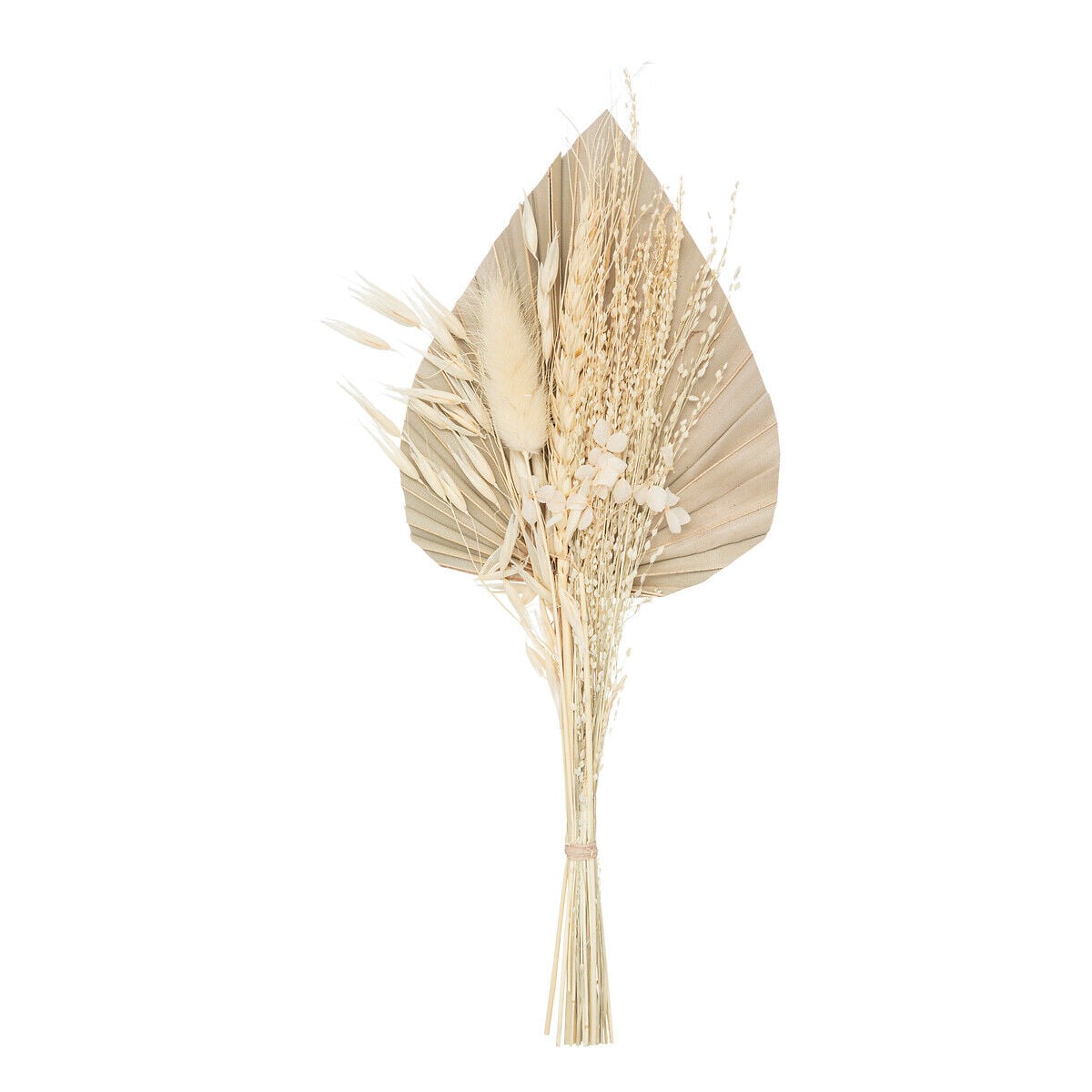Bouquet de flores secas bege SEA VIEW, , large