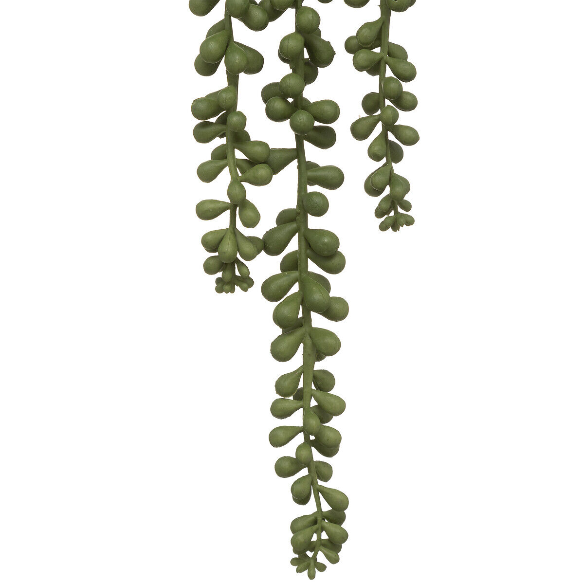 Planta suspensa com vaso de cerâmica, , large