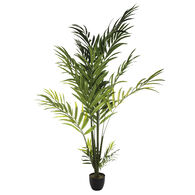 Planta Palmeira Areca Com Vaso 235cm