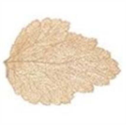 Individual de mesa FOLHA dourada 47cm, , large