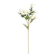 Haste Margaridas 60cm