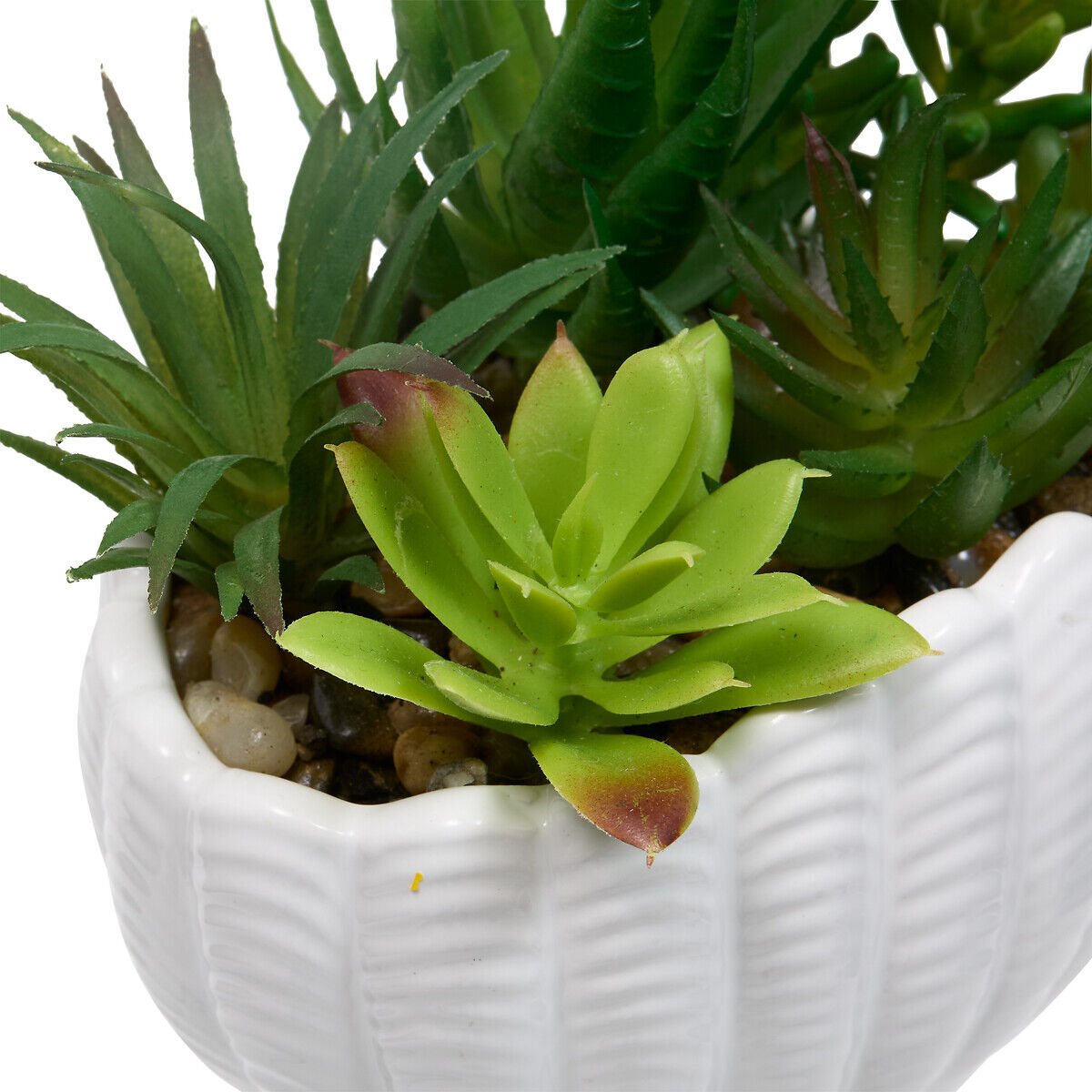 Vaso forma de concha OCEA em cerâmica com planta artificial, , large