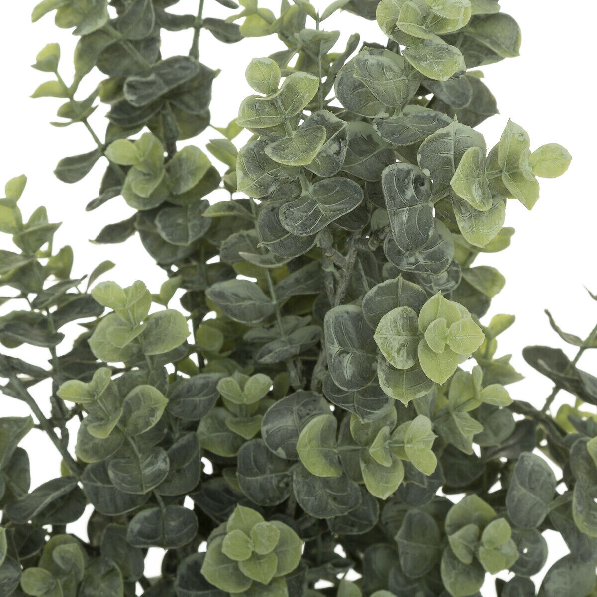 Ramo de eucalipto verde 64cm, , large