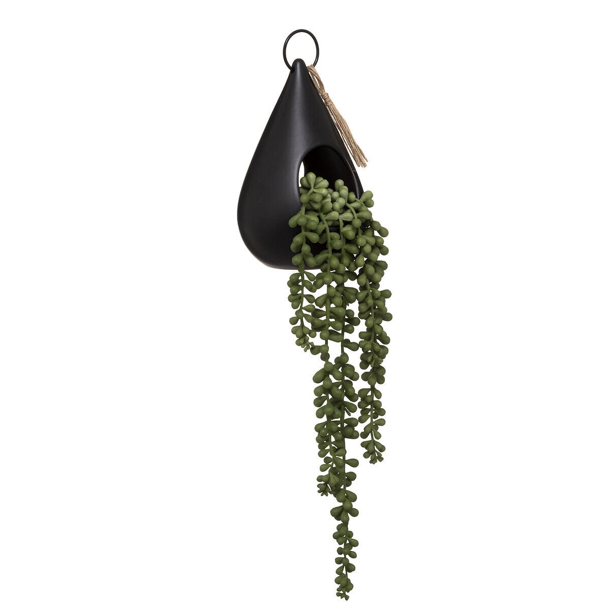 Planta suspensa com vaso de cerâmica, , large