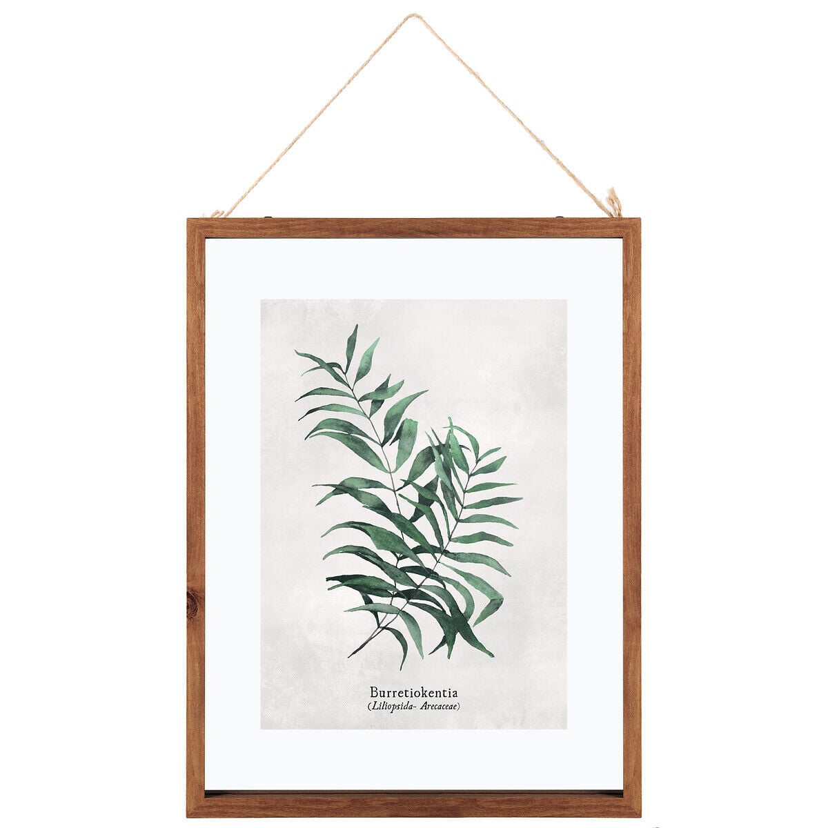 Quadro decorativo folhas 48x38cm, , large