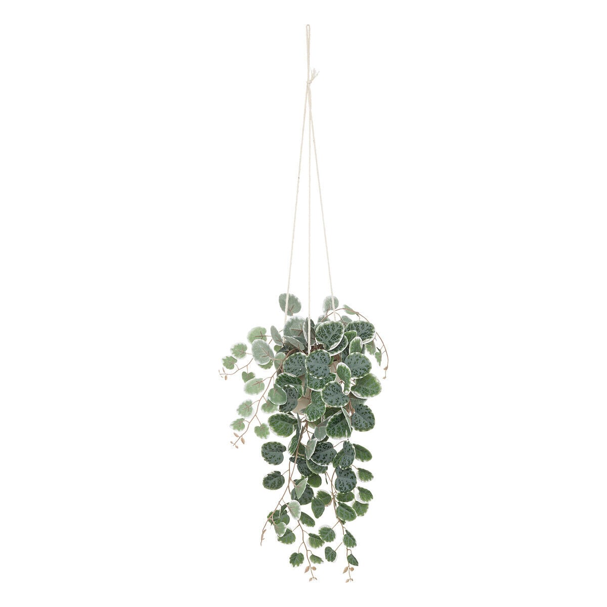 Vasinho suspenso com planta verde CARAVANE, , large
