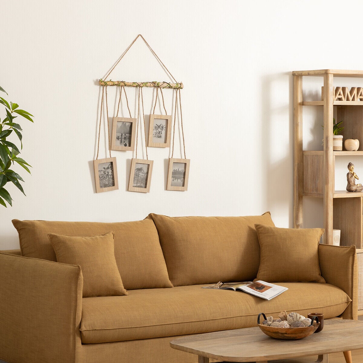 Product Details