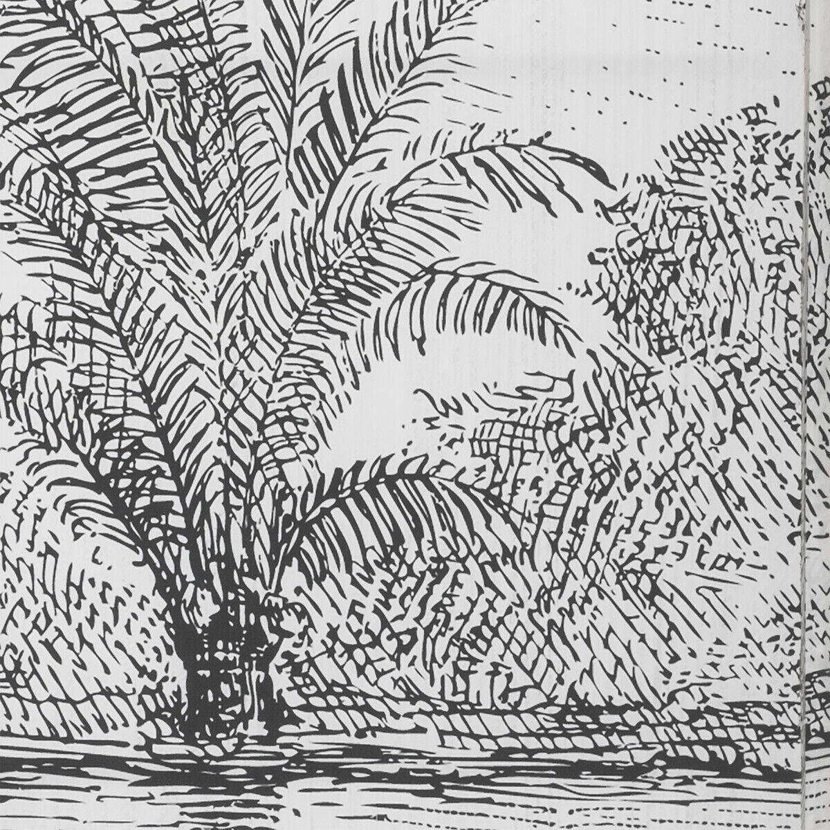 Biombo decorativo preto e branco paisagem CUBA, , large