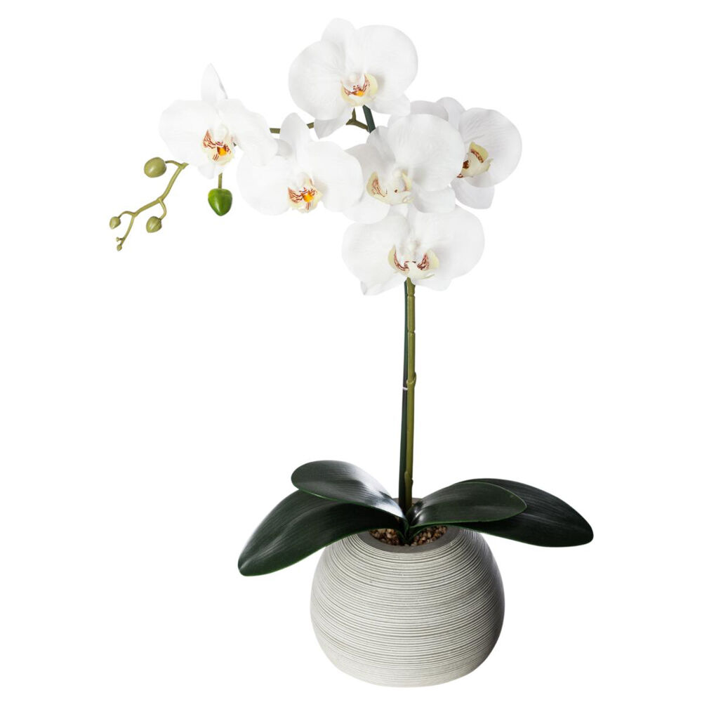 Vaso em cimento com orquídea artificial, , large