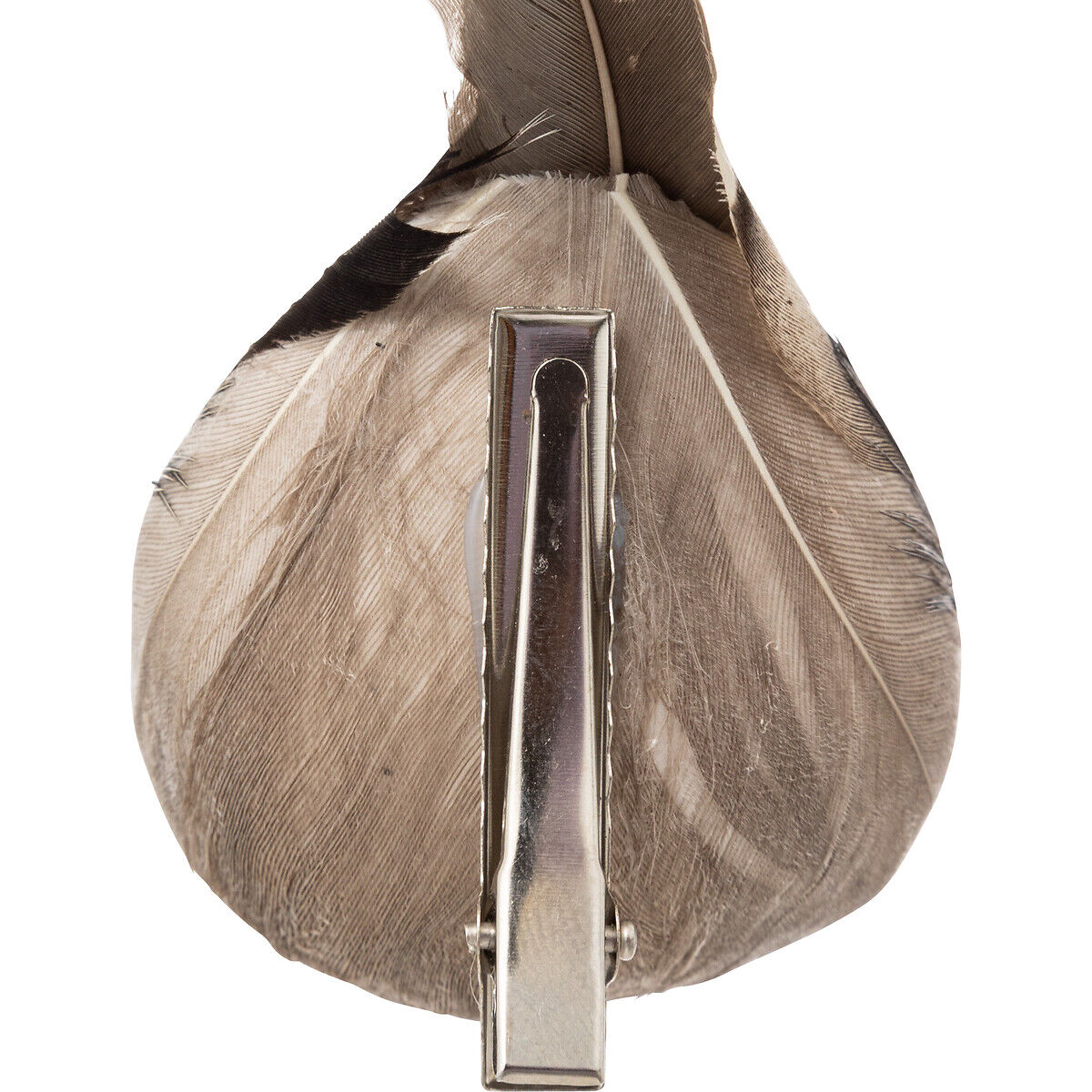 Pássaro com plumas castanho com mola 6x12cm, , large
