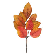 Rama de oto&ntilde;o con pinza 15x28cm