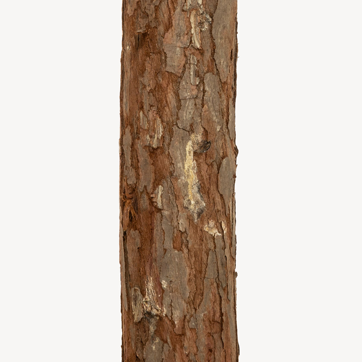 Árvore de natal NORDSTAR neve com tronco madeira 150cm, , large