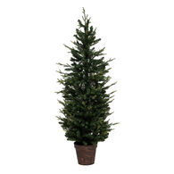 &Aacute;rbol Helsinky Con Maceta 150cm 