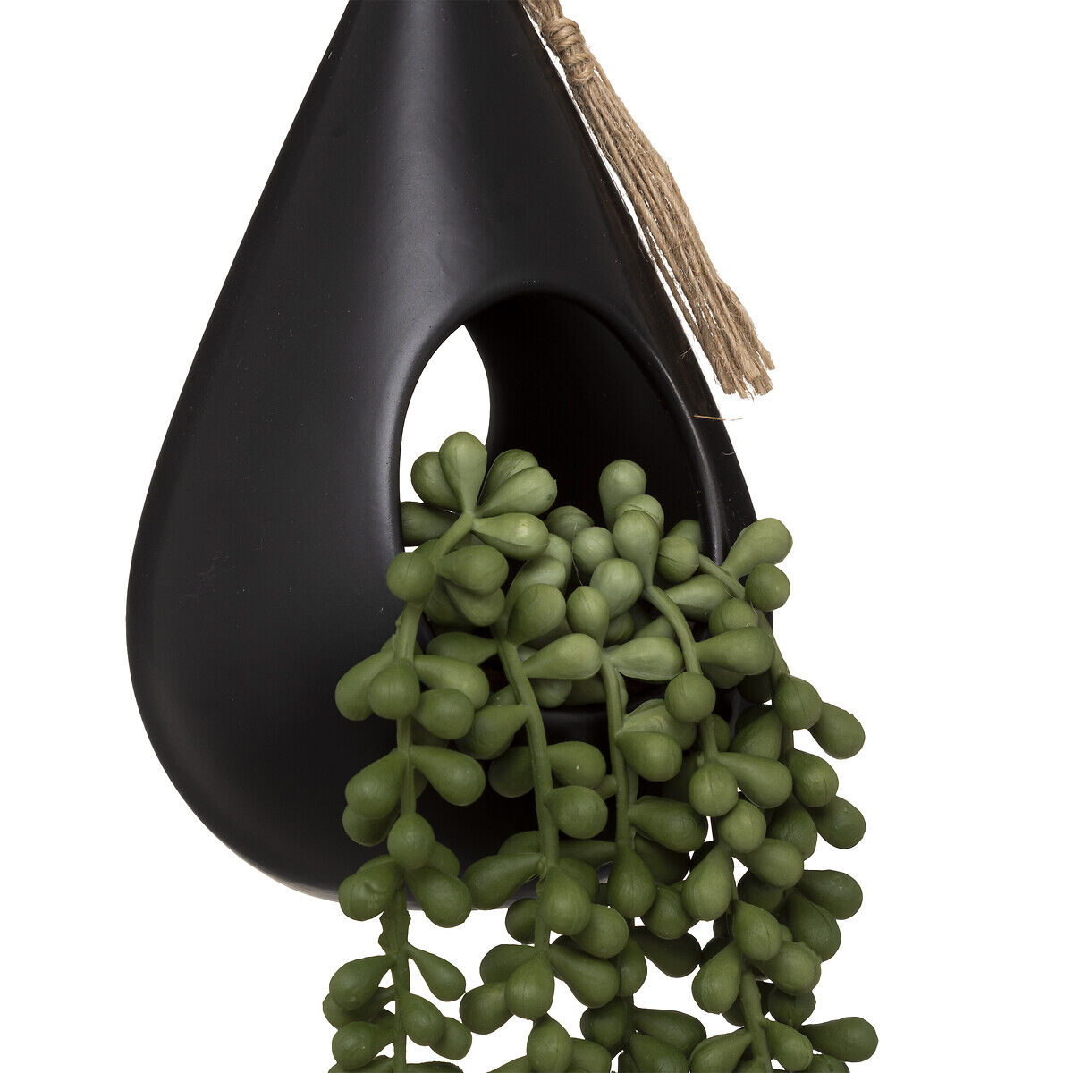 Planta suspensa com vaso de cerâmica, , large