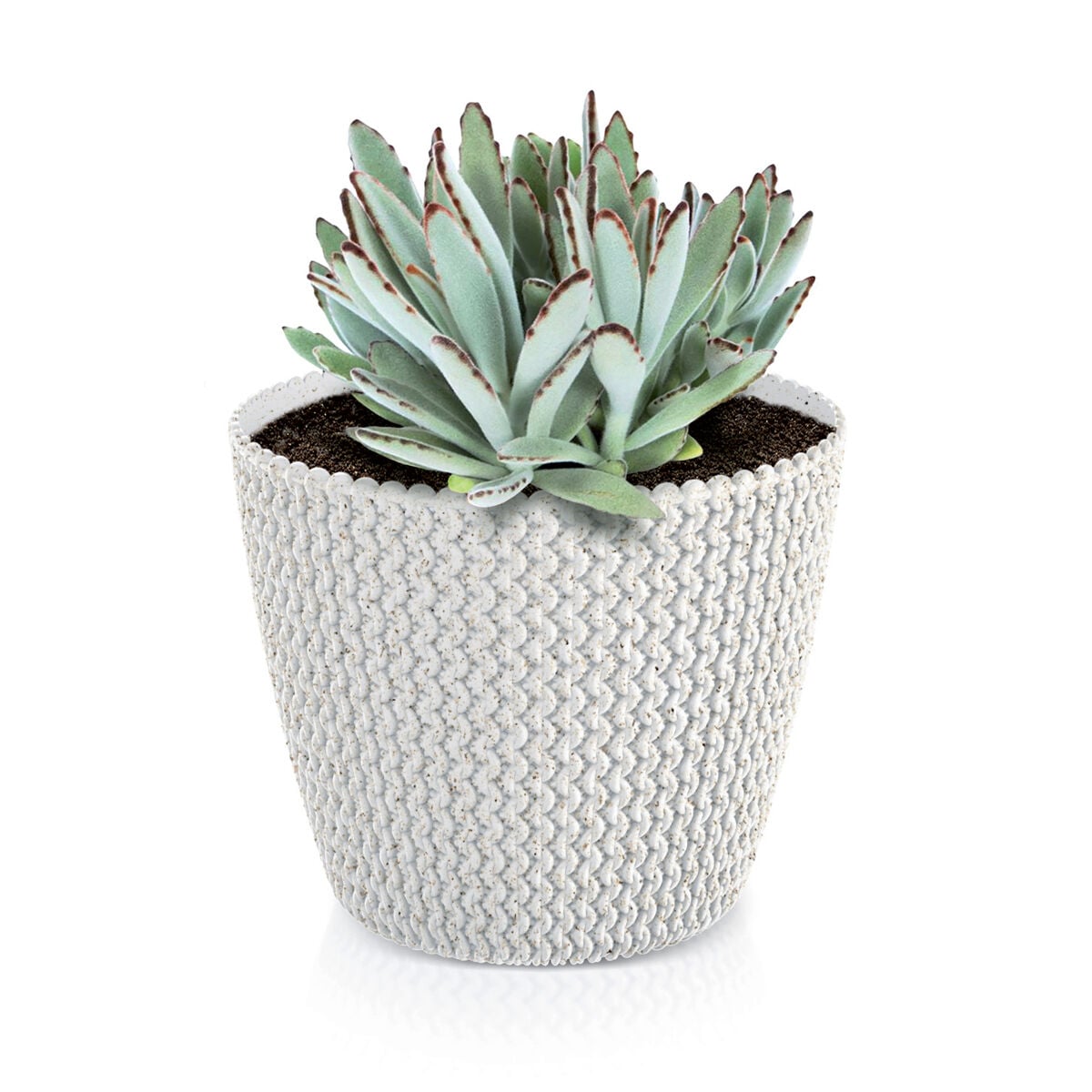 Plant pot SPLOFY white eco wood, , large