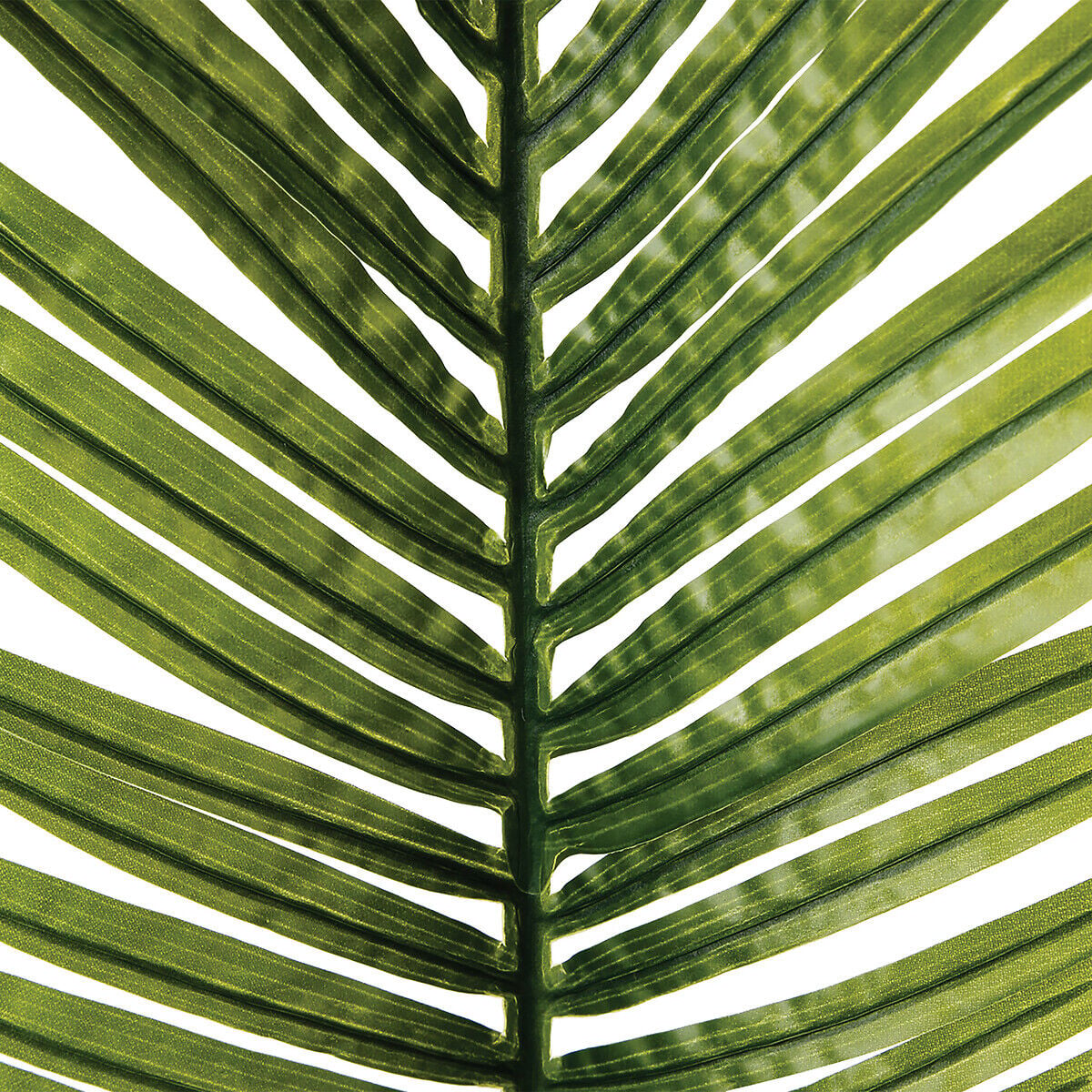 Haste verde folha de palmeira artificial 113cm, , large