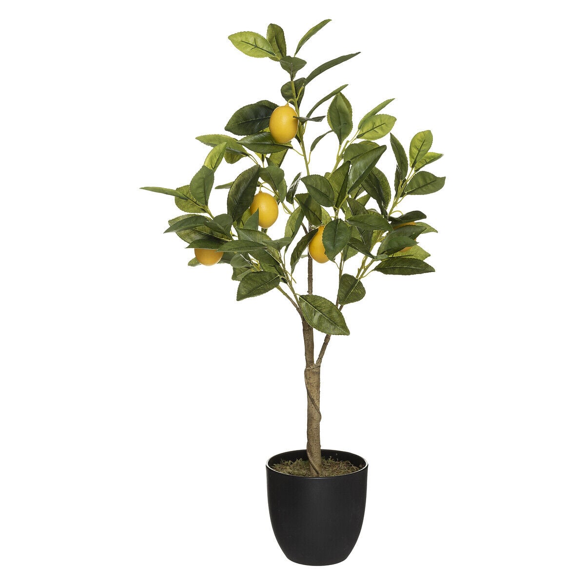 Limonero Con Maceta 73Cm, , large
