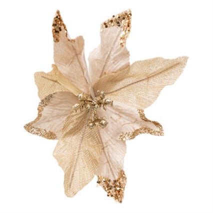 Flor poinsétia bege e dourado com mola, , large