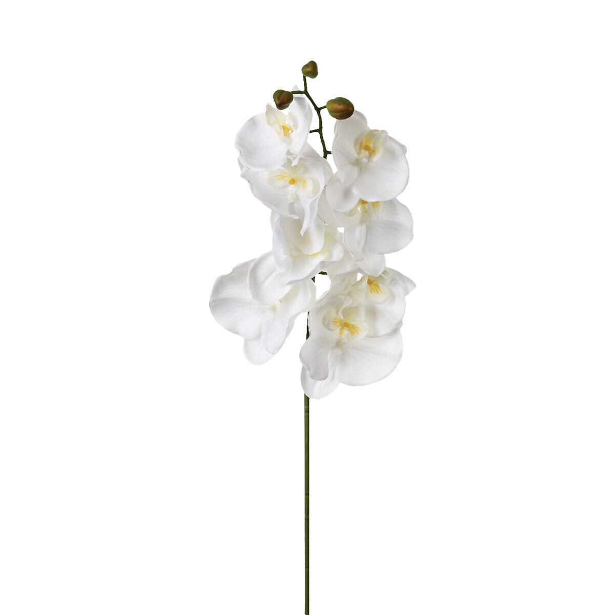 Haste orquídea 108cm, , large
