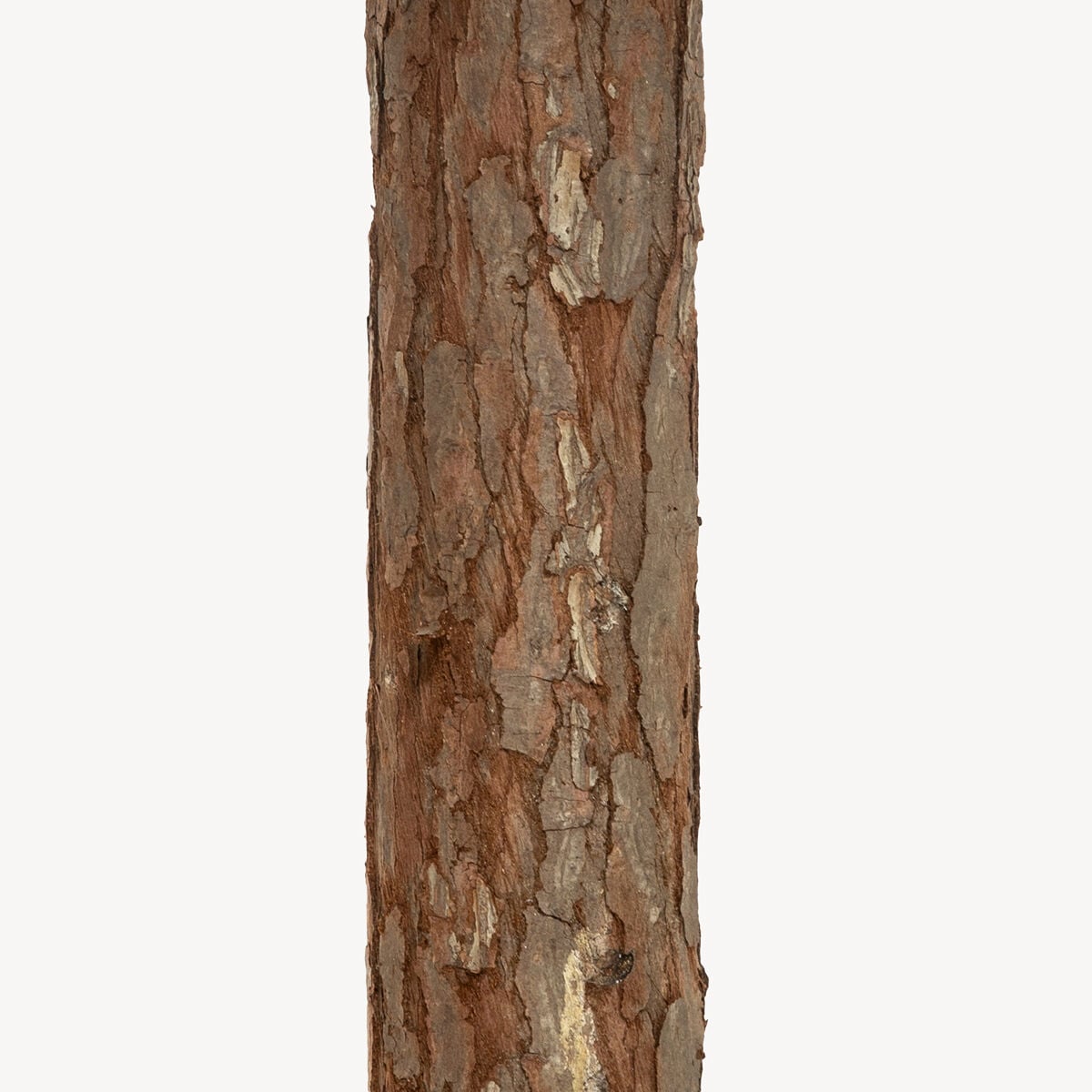 Árvore de natal nordstar neve com tronco madeira 180cm, , large