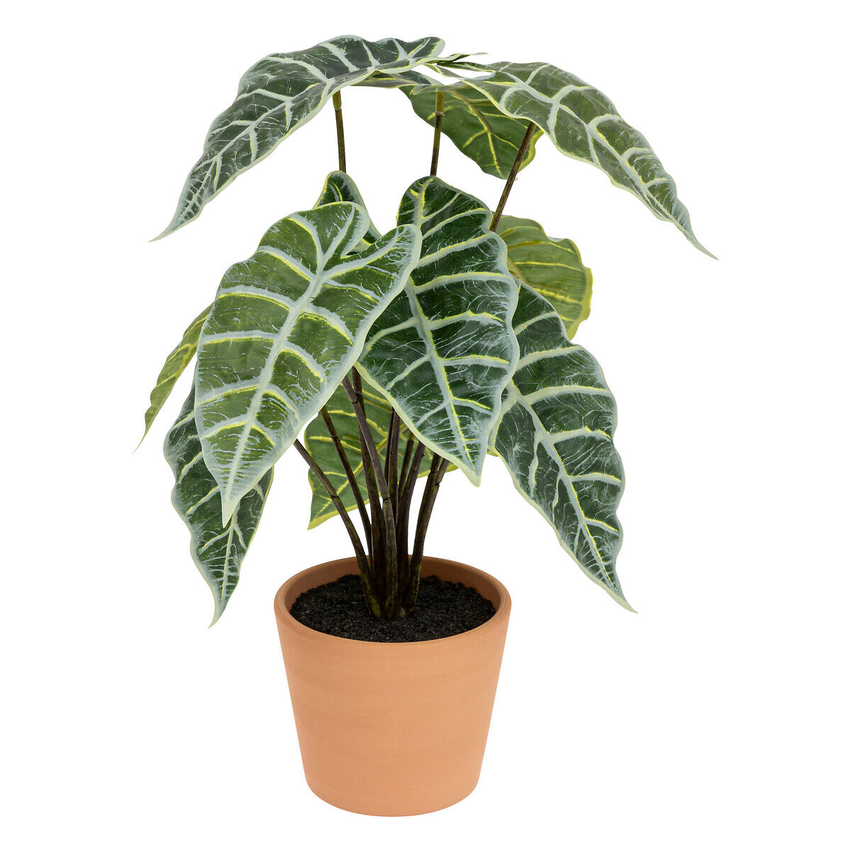 Planta alocasia verde 43cm, , large