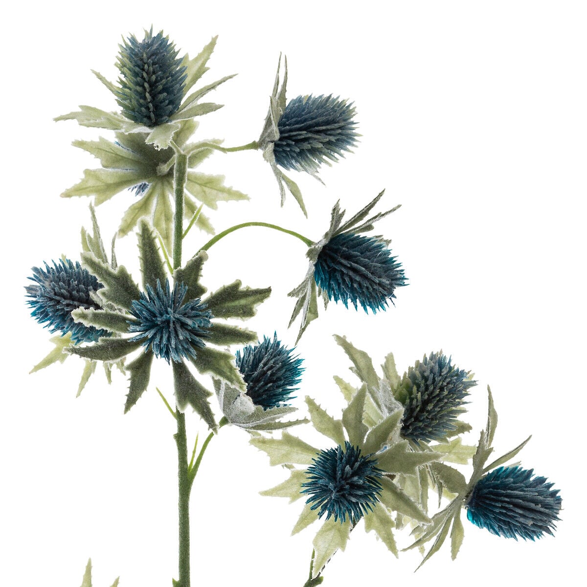 Haste eryngium inverno azul 70cm, , large