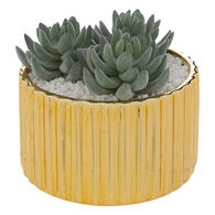 Planta Suculenta Com Vaso Dourado Em Cer&acirc;mica