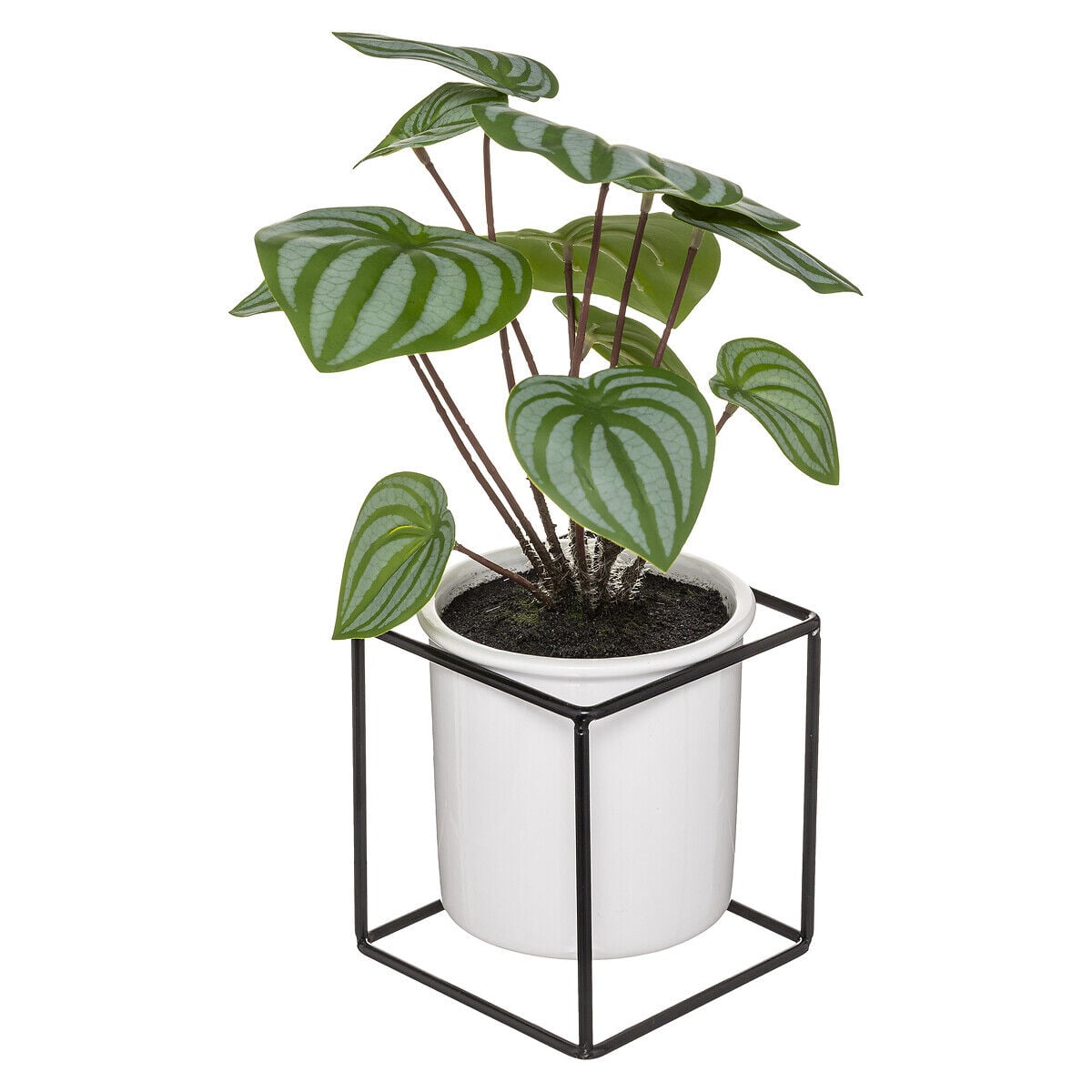 Planta maranta artifical com suporte 32cm, , large