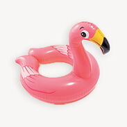 Pool Accessories