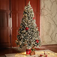 Christmas Trees and Decorations