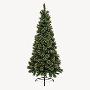 Christmas Trees