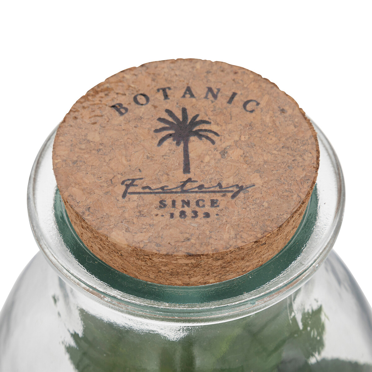 Jarra De Vidro Com Plantas Artificiais Caravane