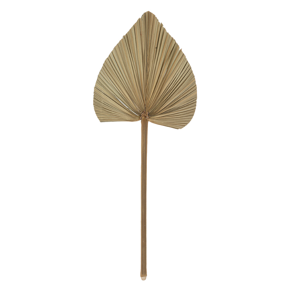 Juego De 3 Hojas De Palmera Verdes 70Cm