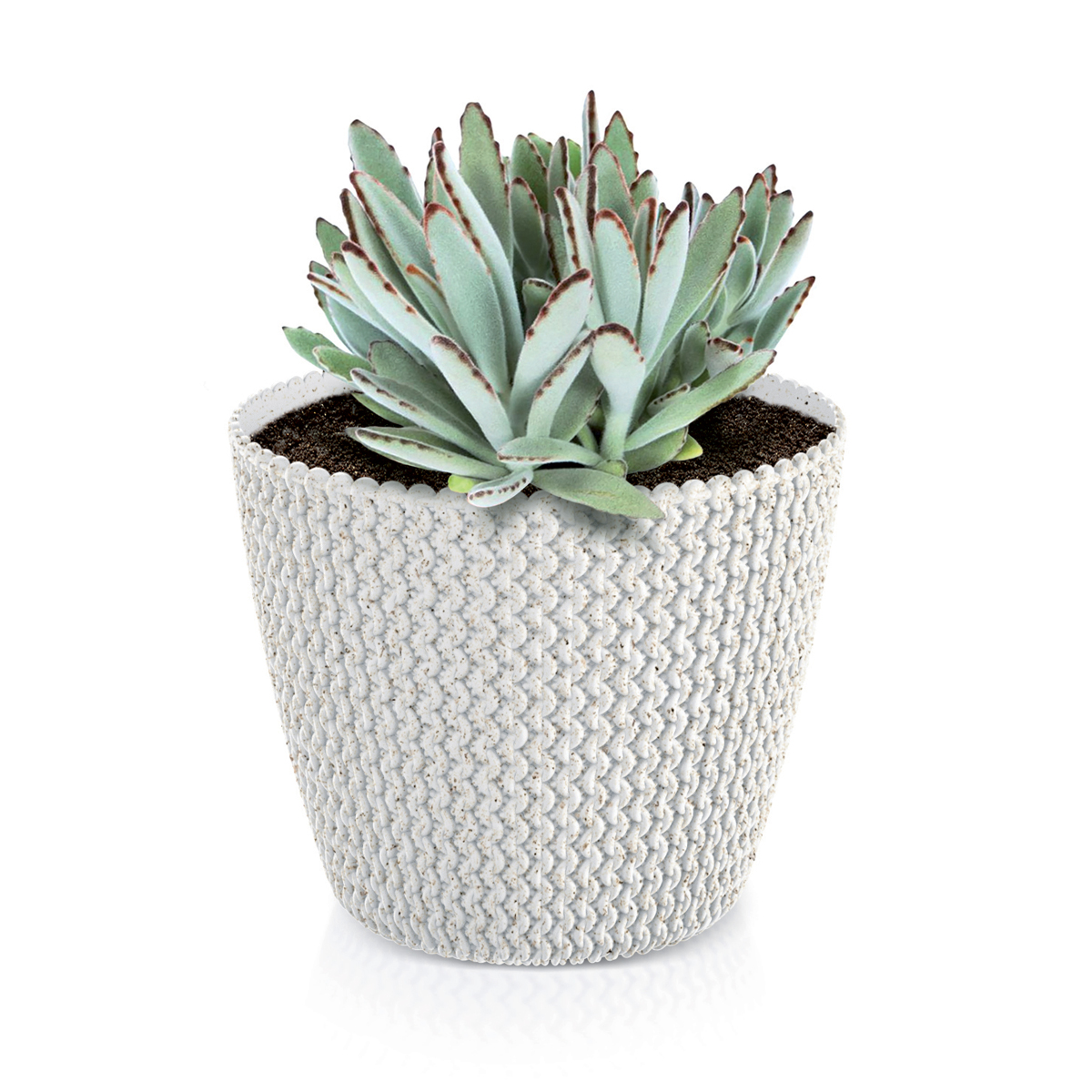 Maceta Splofy Eco Wood C/Blanco 16x19Cm