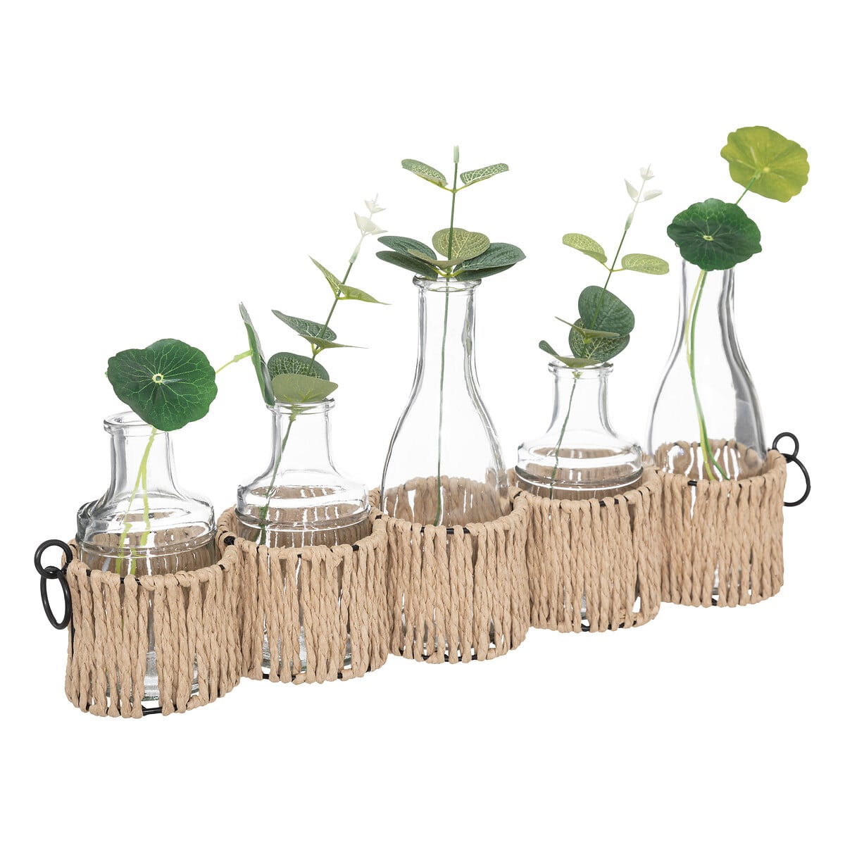 Juego De 5 Floreros De Vidrio C/Plantas