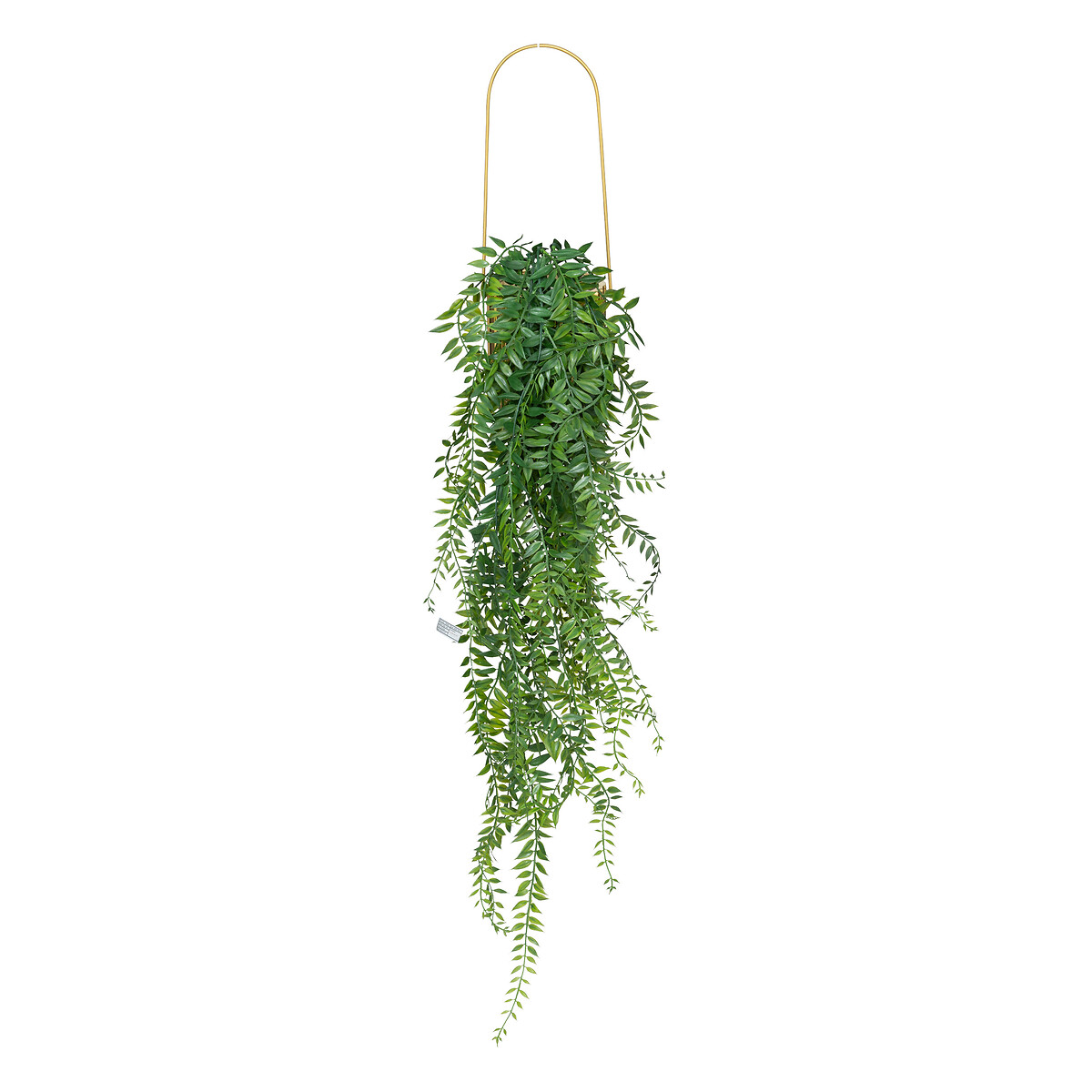 Planta Colgante C/Jarr&oacute;n 12.3x12.3x82Cm 