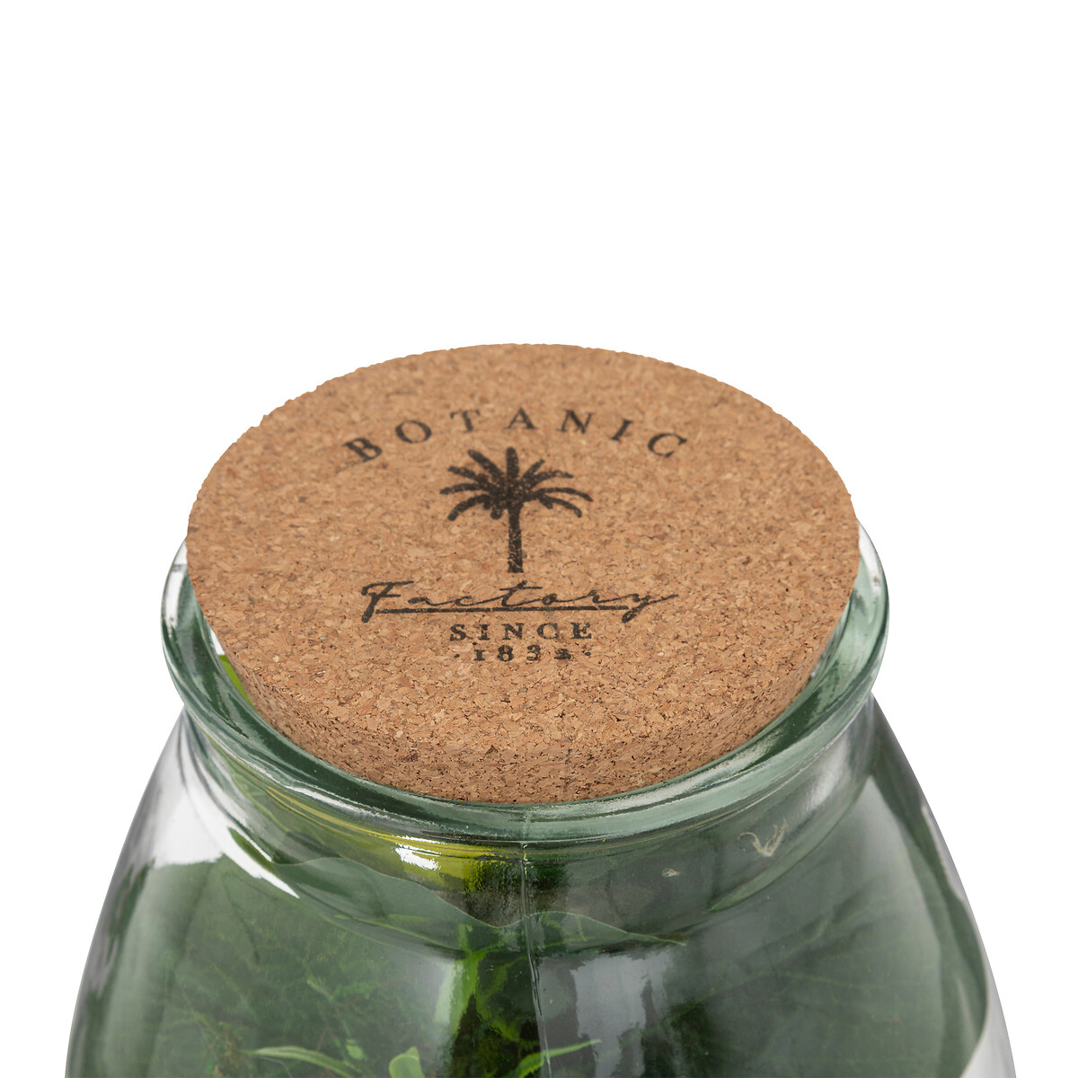 Jarr&oacute;n de vidrio con plantas artificiales CARAVANE